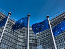 ukraine's right self-determination non-negotiable all eu leaders say except hungary's flags european union commons/thijs ter haar backdrop potential territorial concessions looming over trump's meeting putin stand united support sovereignty 12