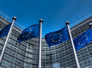 ukraine's right self-determination non-negotiable all eu leaders say except hungary's flags european union commons/thijs ter haar backdrop potential territorial concessions looming over trump's meeting putin stand united support sovereignty 12