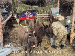 russia’s manpower crisis deepens — army calls its mercenaries expendable leaked audio russian soldiers donkey frontline https//tme/mag_vodogray photo_5267246535337438723_y forcing kremlin rely covert recruiting networks where volunteer fighters mercenary structures seen